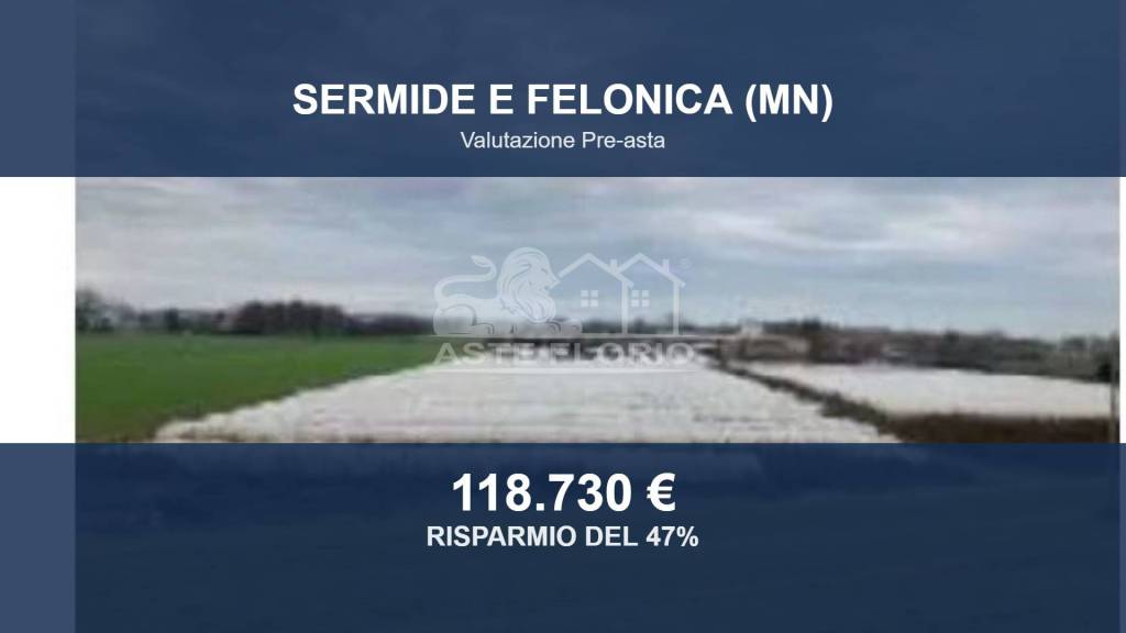 terreno agricolo in vendita a Sermide e Felonica in zona Felonica