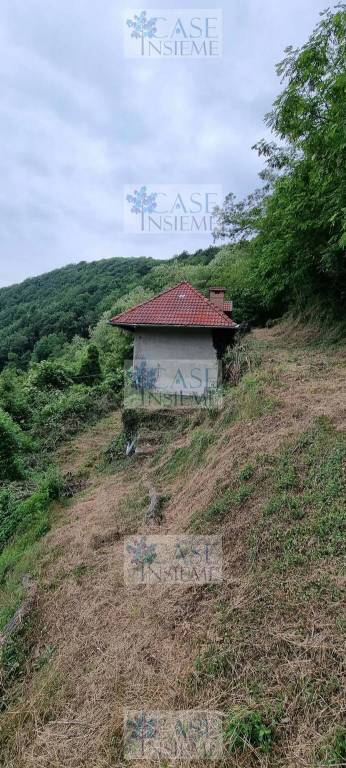 immagine annuncio 3 di 6