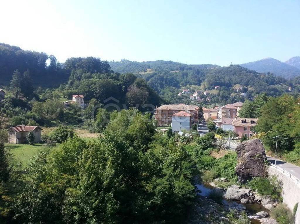 immagine annuncio 2 di 7