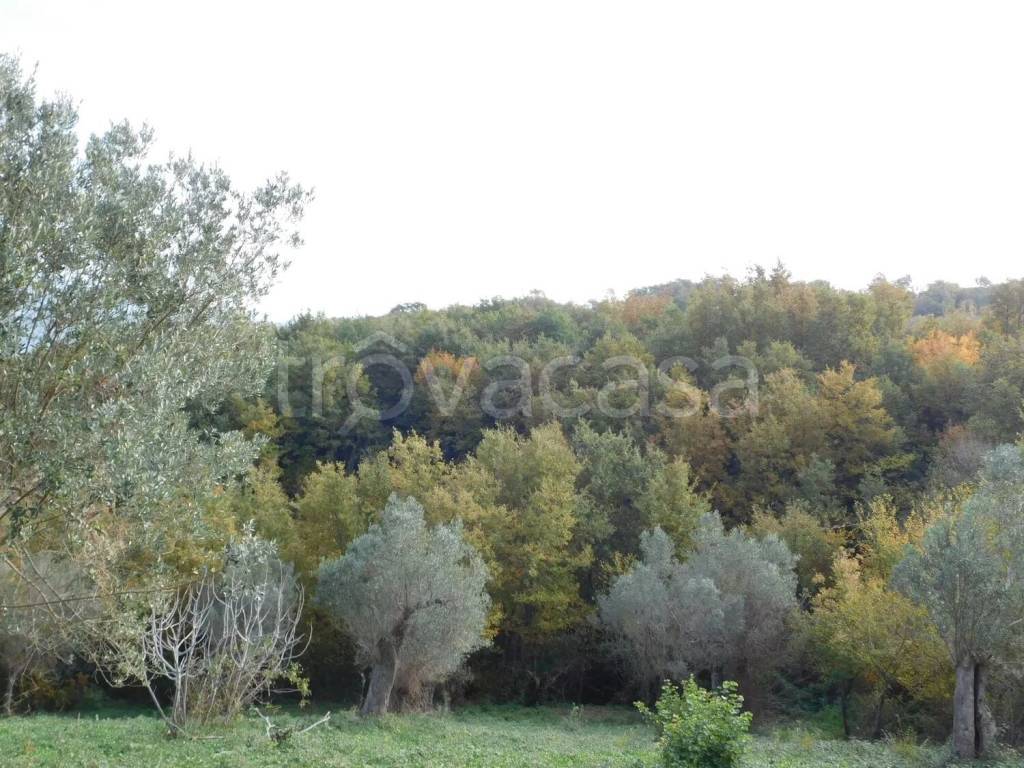 immagine annuncio 4 di 8