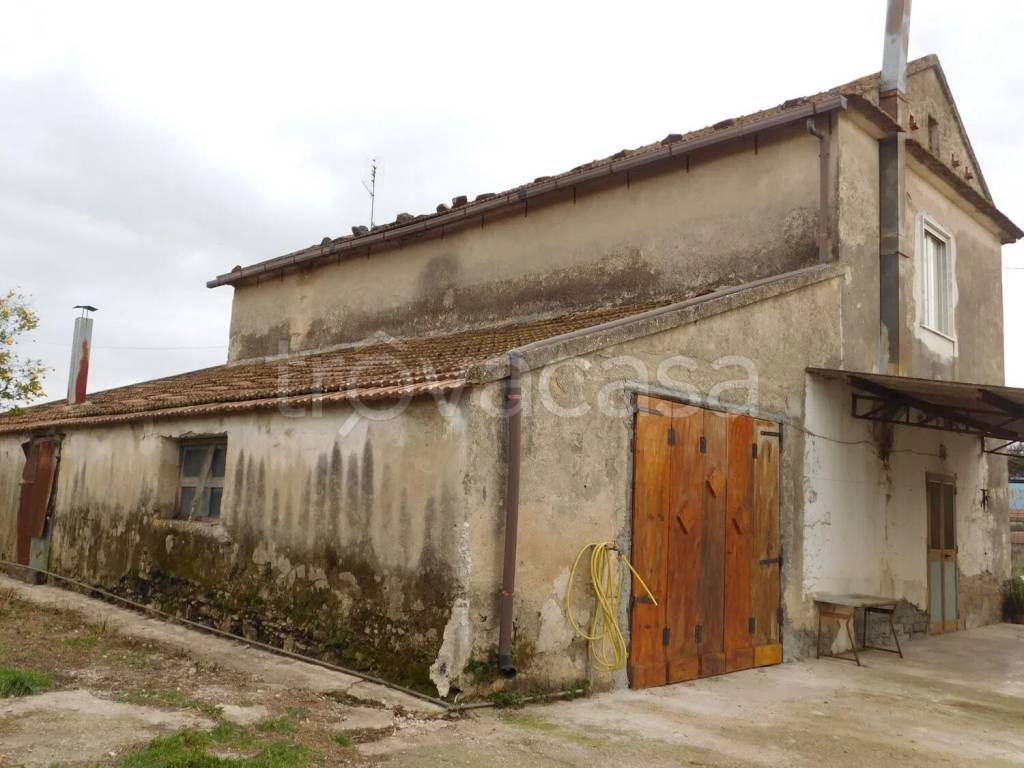 immagine annuncio 1 di 14