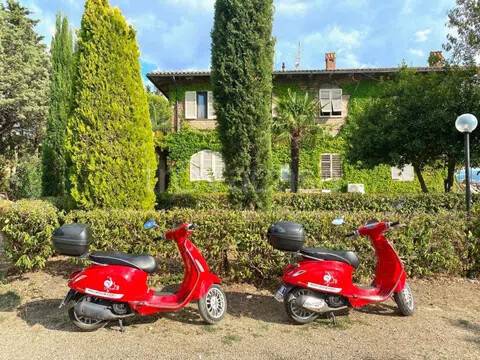 immagine annuncio 2 di 15