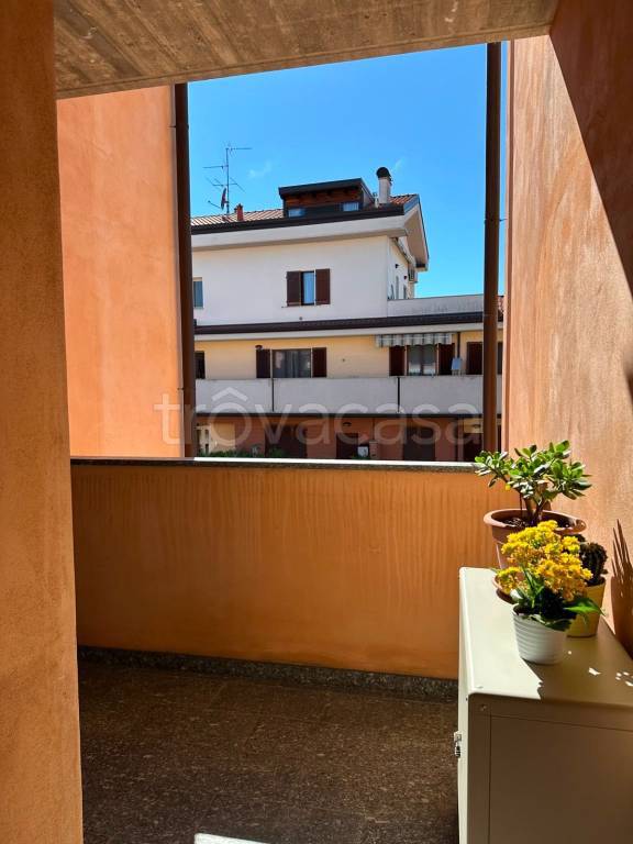 immagine annuncio 7 di 8