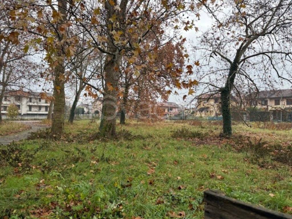 immagine annuncio 8 di 11