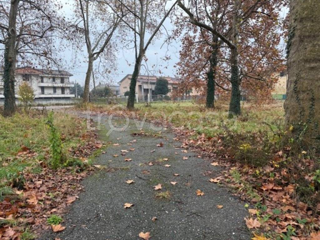 immagine annuncio 9 di 11