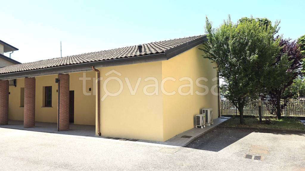 immagine annuncio 1 di 11