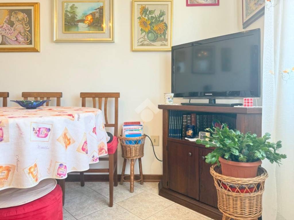 immagine annuncio 3 di 14