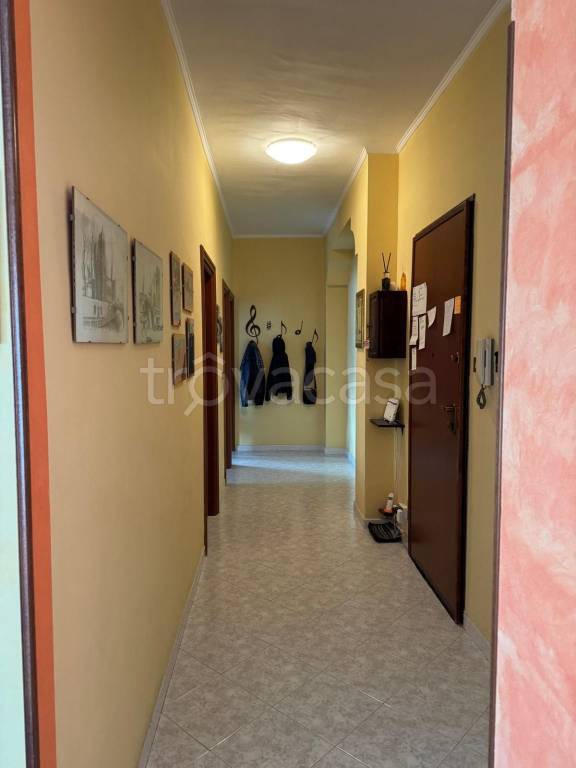 immagine annuncio 5 di 12