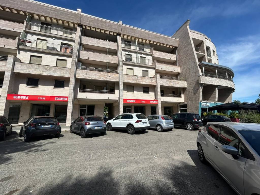 immagine annuncio 1 di 12