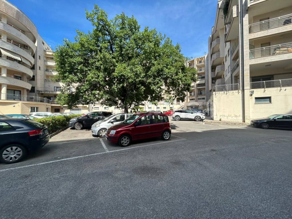 immagine annuncio 4 di 12