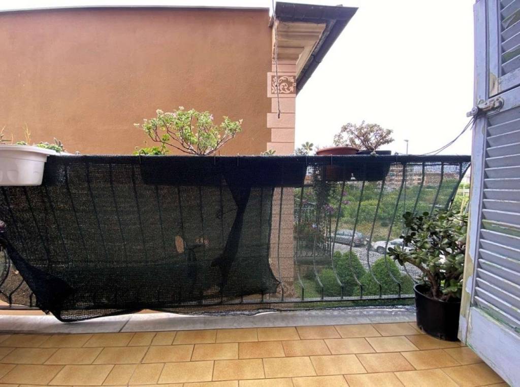 immagine annuncio 3 di 12