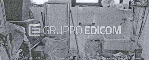 immagine annuncio 3 di 15