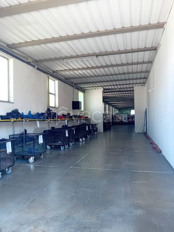 immagine annuncio 1 di 7