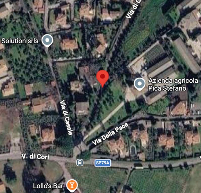 immagine annuncio 3 di 10