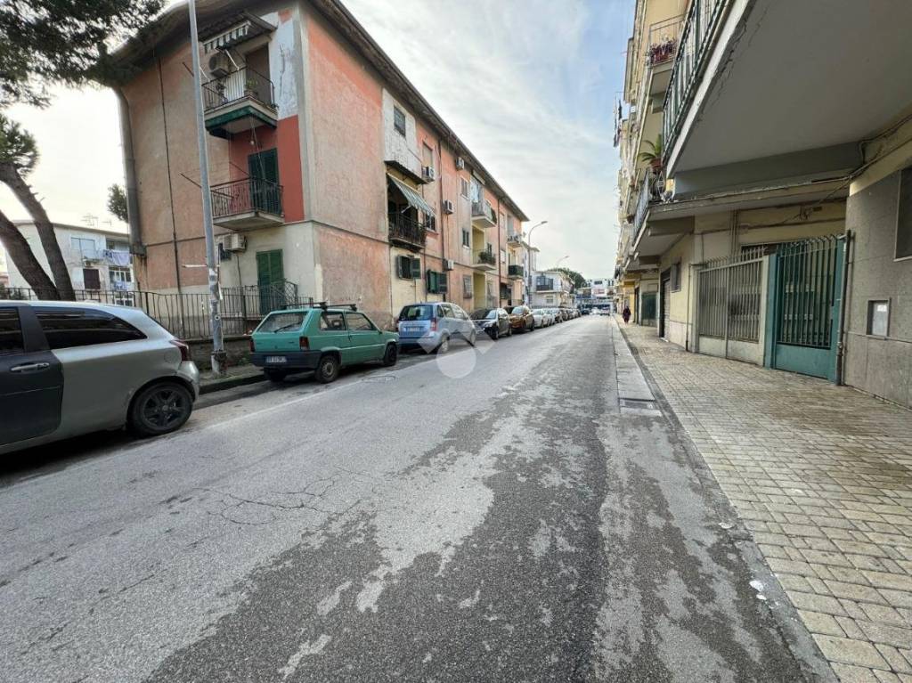 immagine annuncio 5 di 13