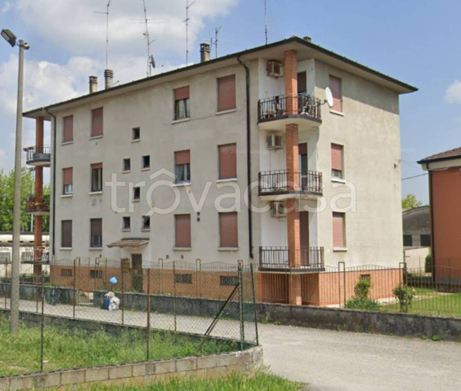 immagine annuncio 3 di 11