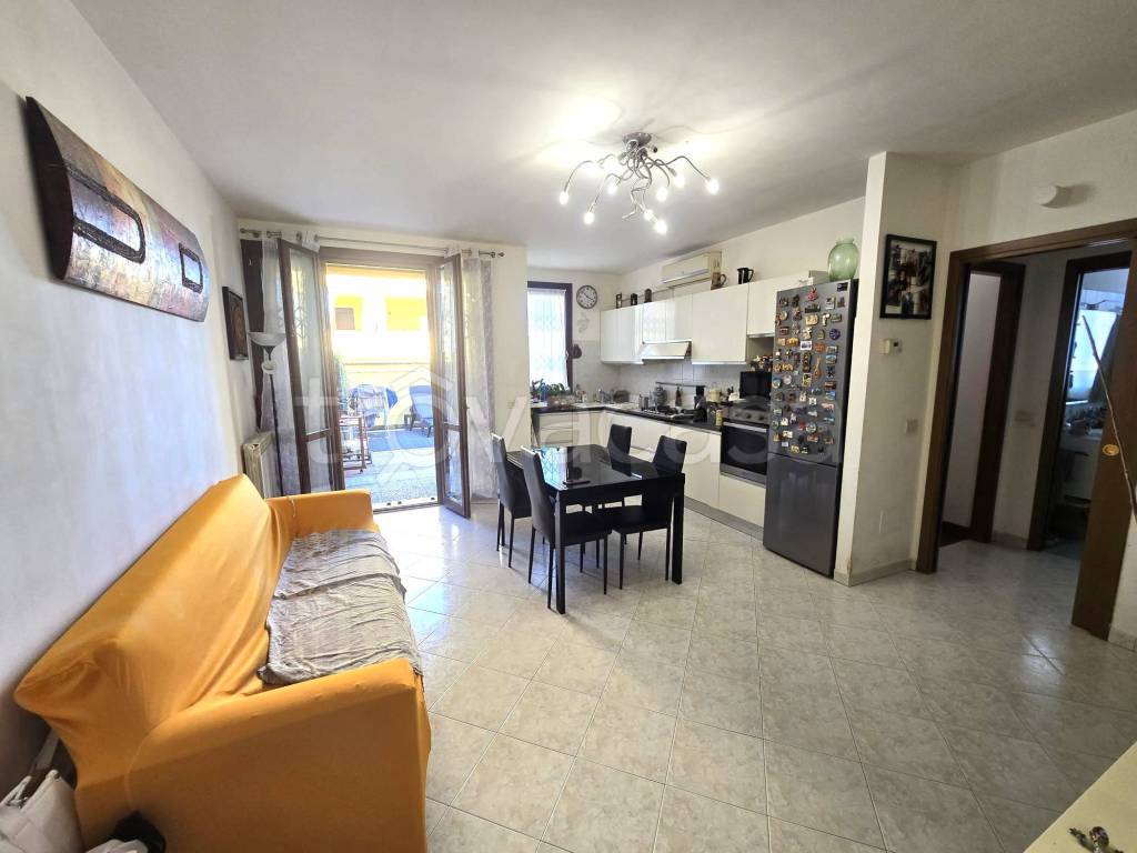immagine annuncio 9 di 15