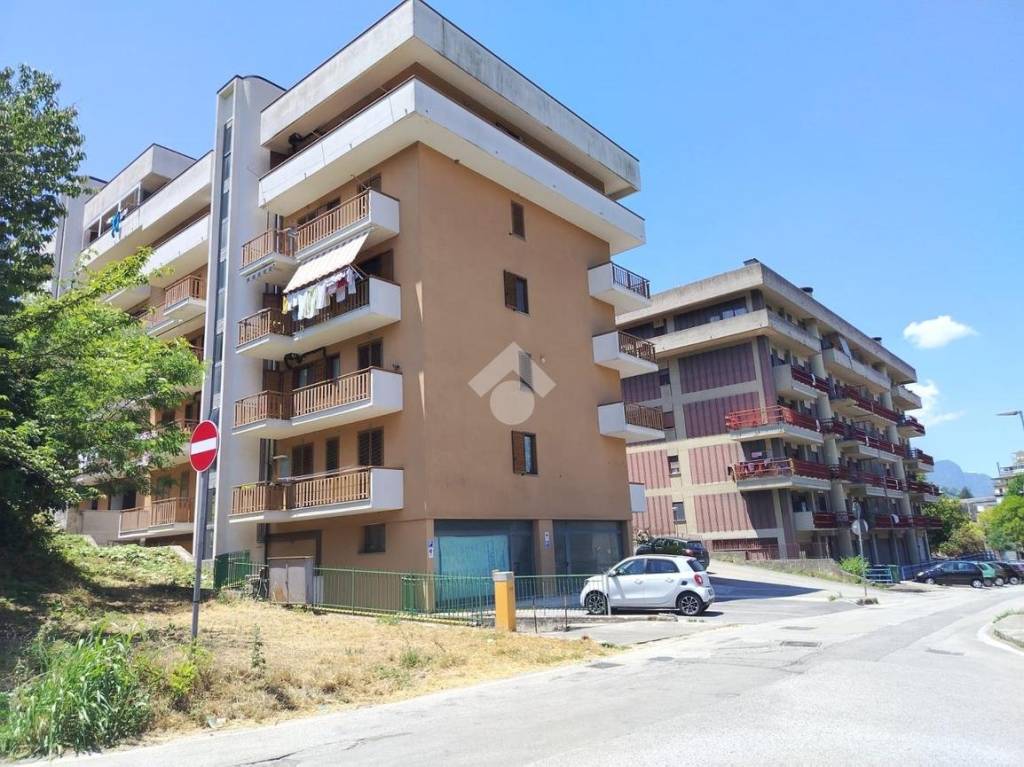 immagine annuncio 2 di 12