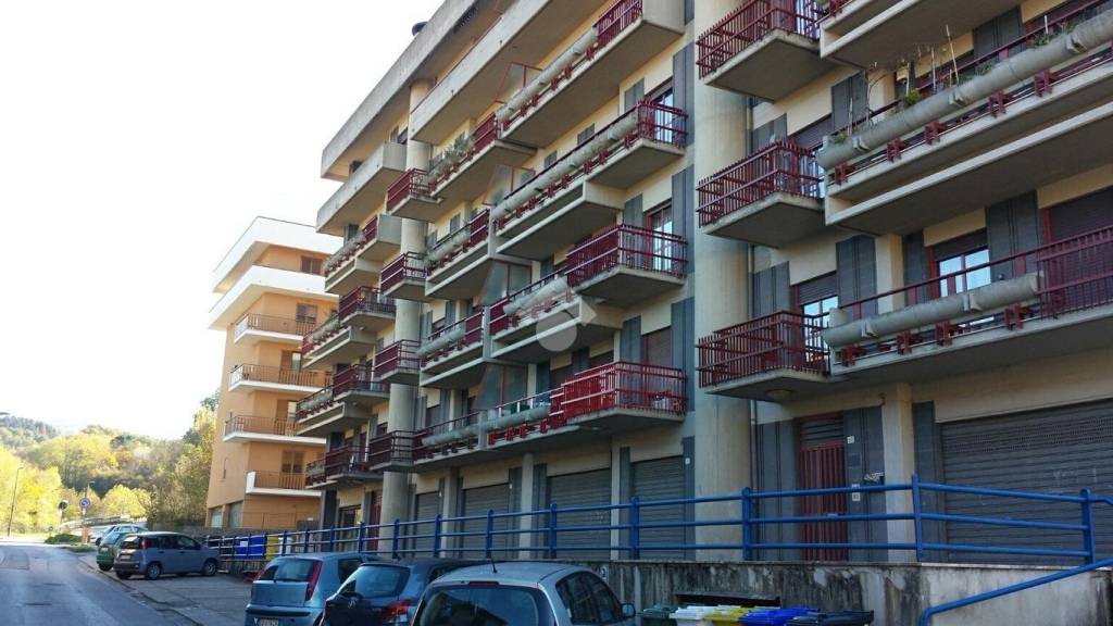immagine annuncio 5 di 12