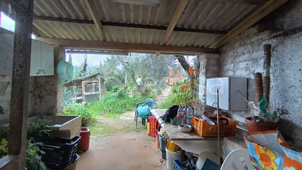 immagine annuncio 9 di 11