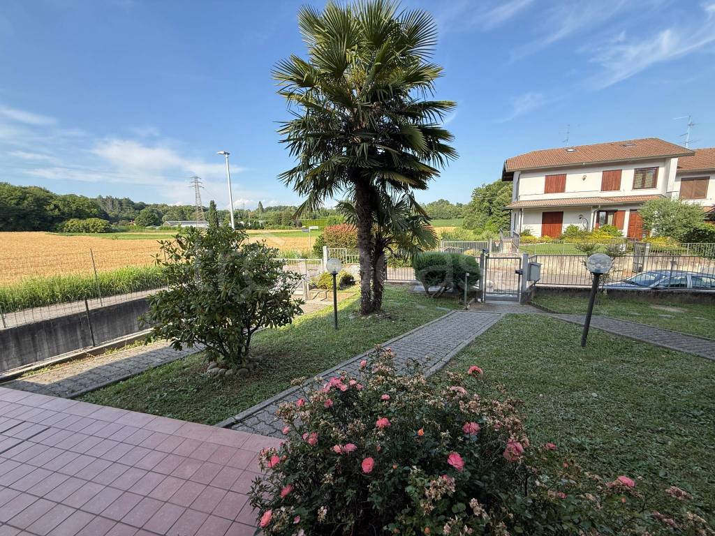immagine annuncio 11 di 15