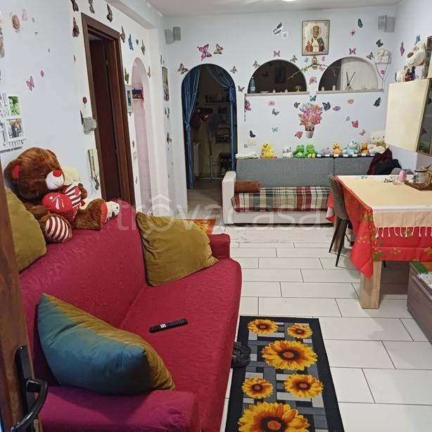 immagine annuncio 1 di 12