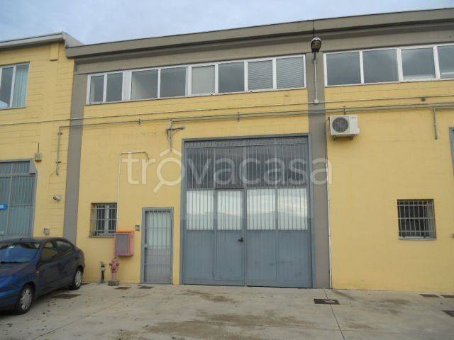 immagine annuncio 10 di 11