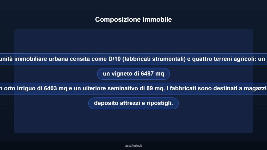 immagine annuncio 7 di 10