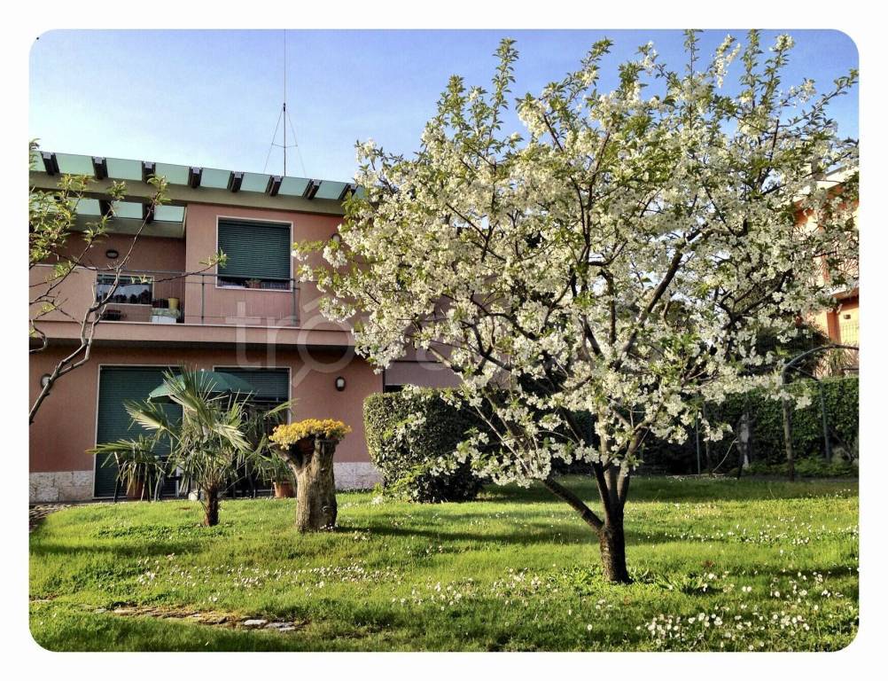 immagine annuncio 8 di 15