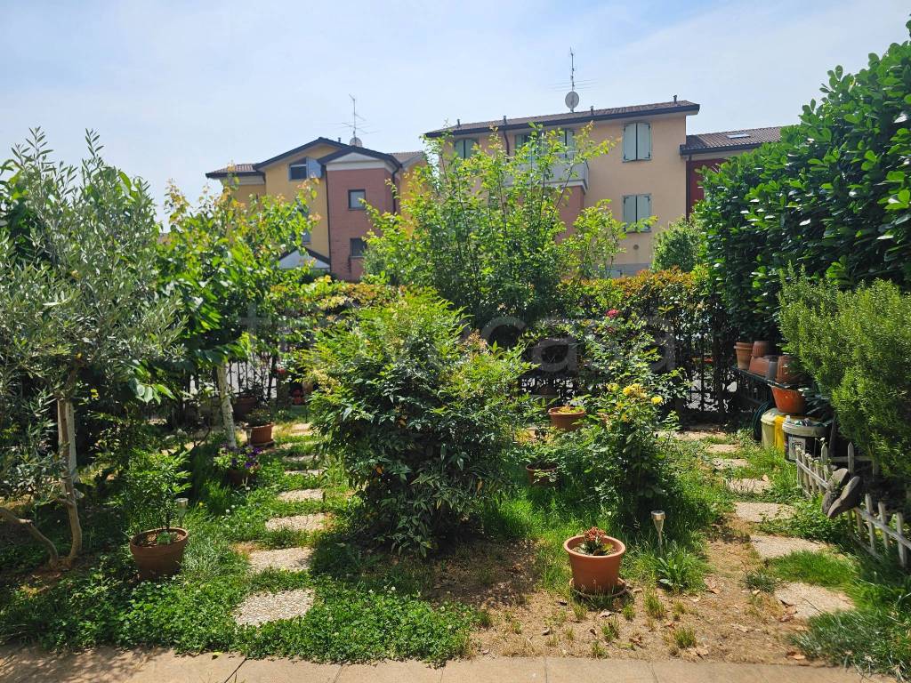 immagine annuncio 3 di 15