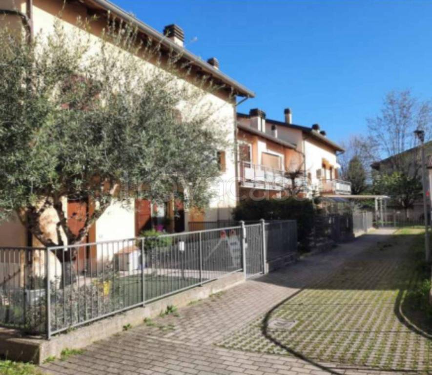 immagine annuncio 6 di 11