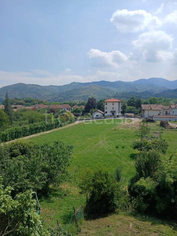 immagine annuncio 3 di 8