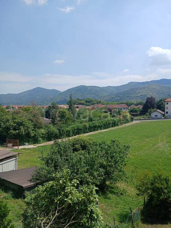 immagine annuncio 4 di 8