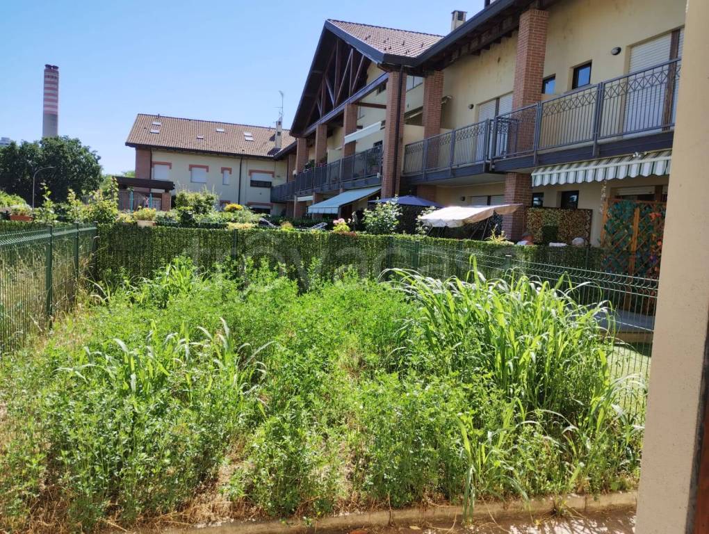 immagine annuncio 2 di 10