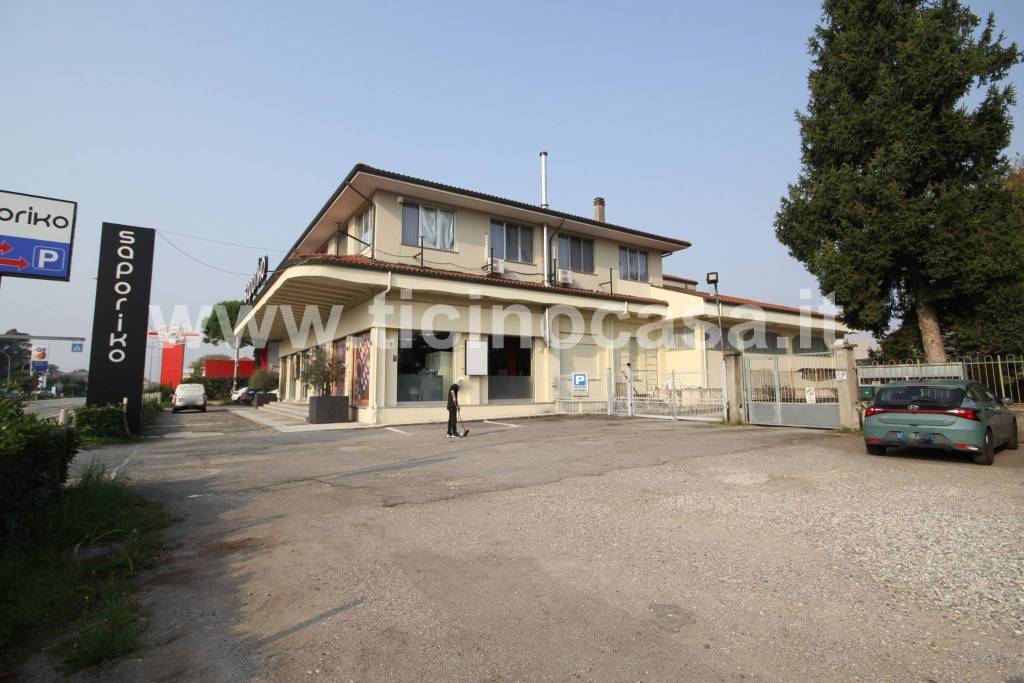 immagine annuncio 9 di 13