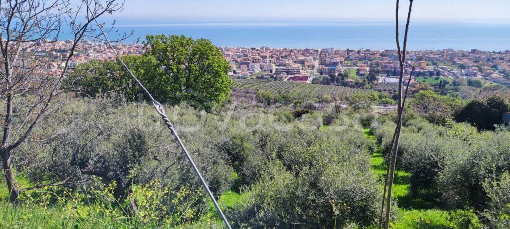 immagine annuncio 9 di 13
