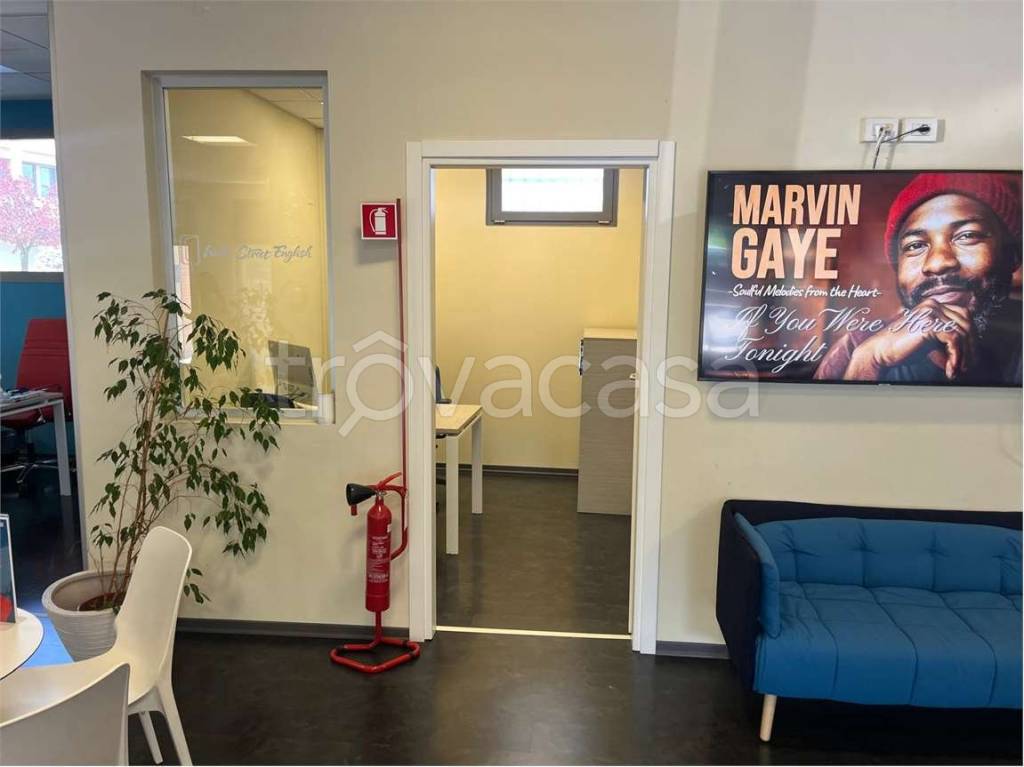 immagine annuncio 5 di 9