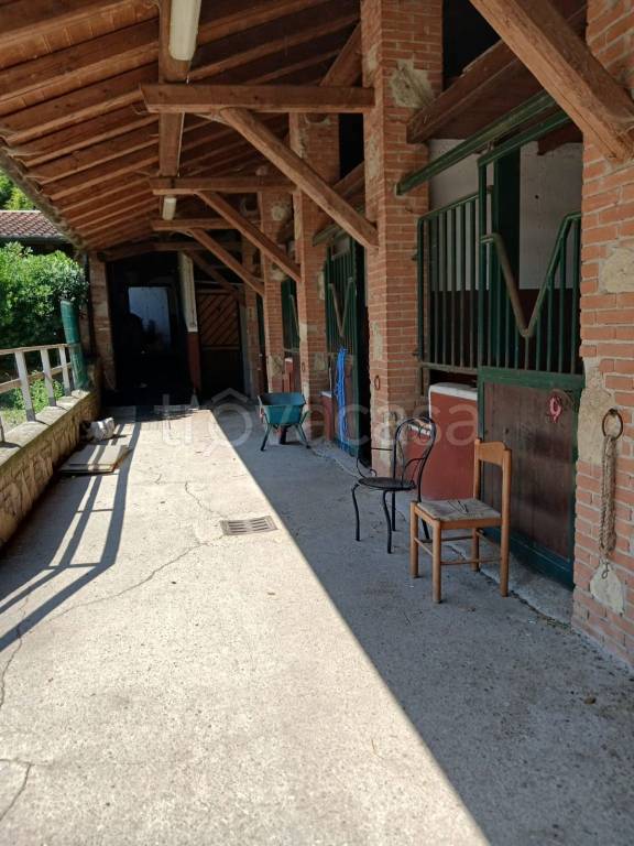immagine annuncio 4 di 9