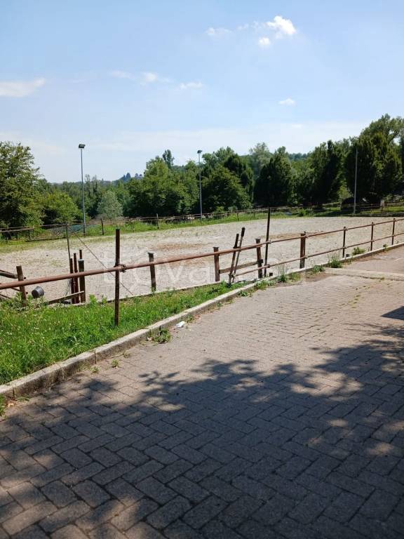 immagine annuncio 5 di 9