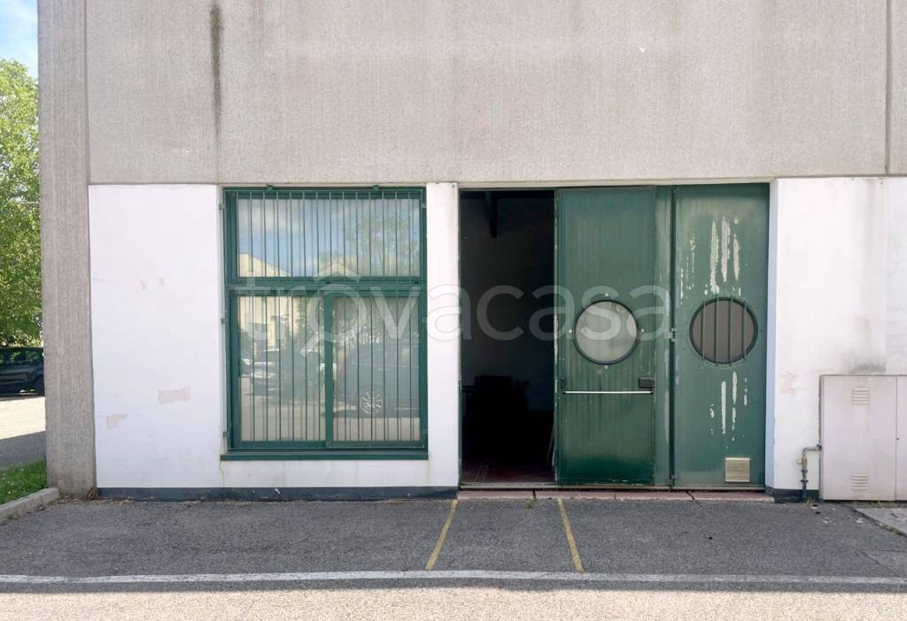 immagine annuncio 4 di 13