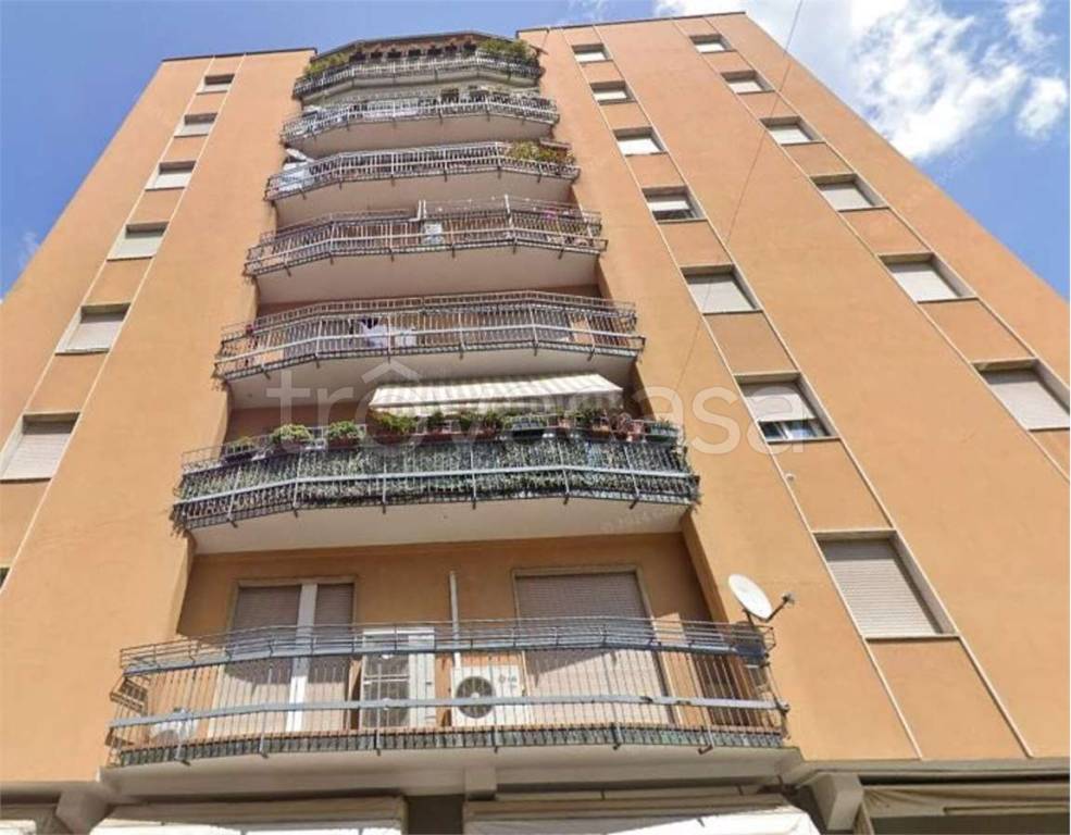 immagine annuncio 3 di 11