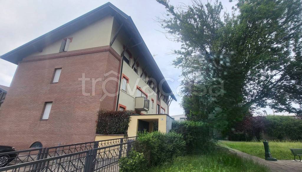 immagine annuncio 9 di 11