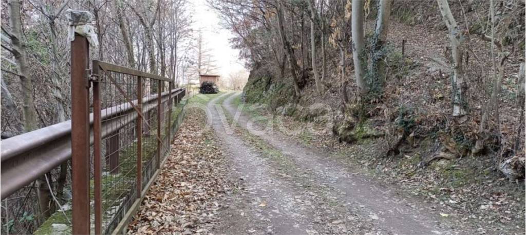 immagine annuncio 6 di 12
