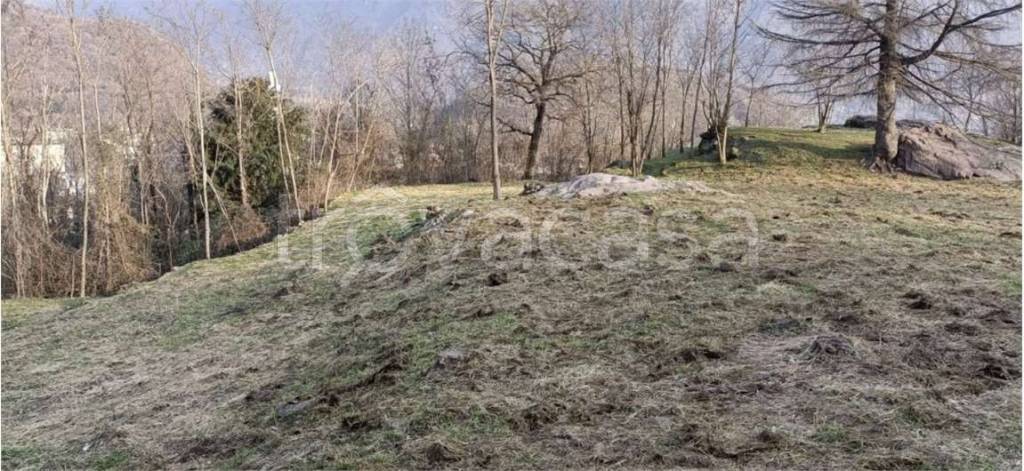 immagine annuncio 7 di 12