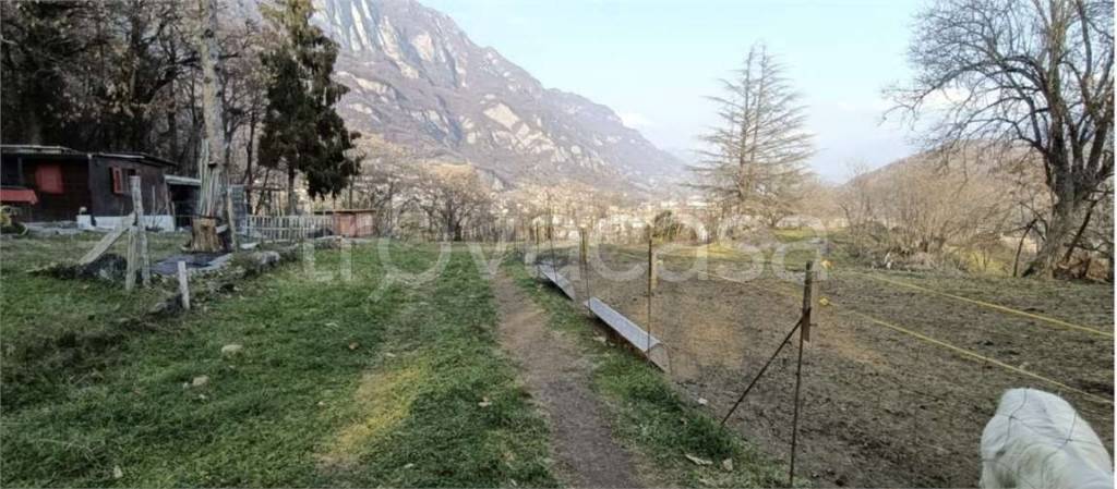 immagine annuncio 10 di 12