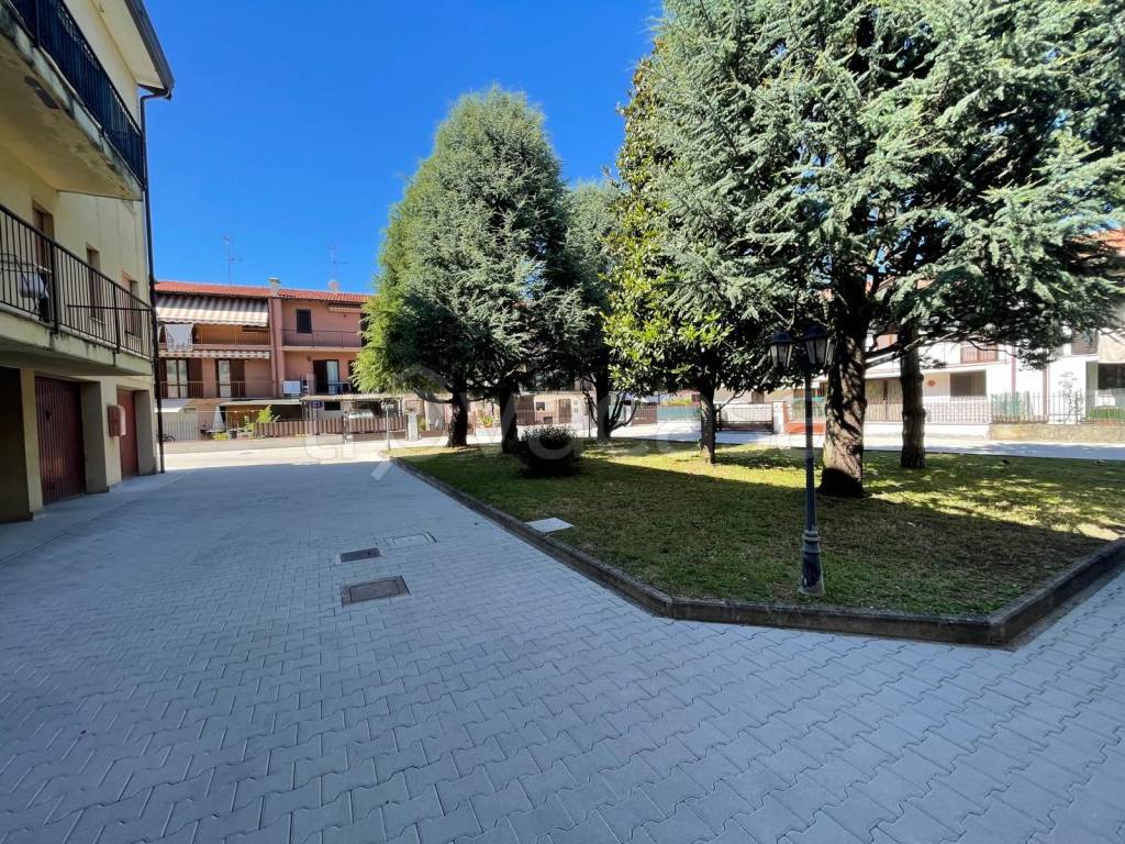 immagine annuncio 2 di 13