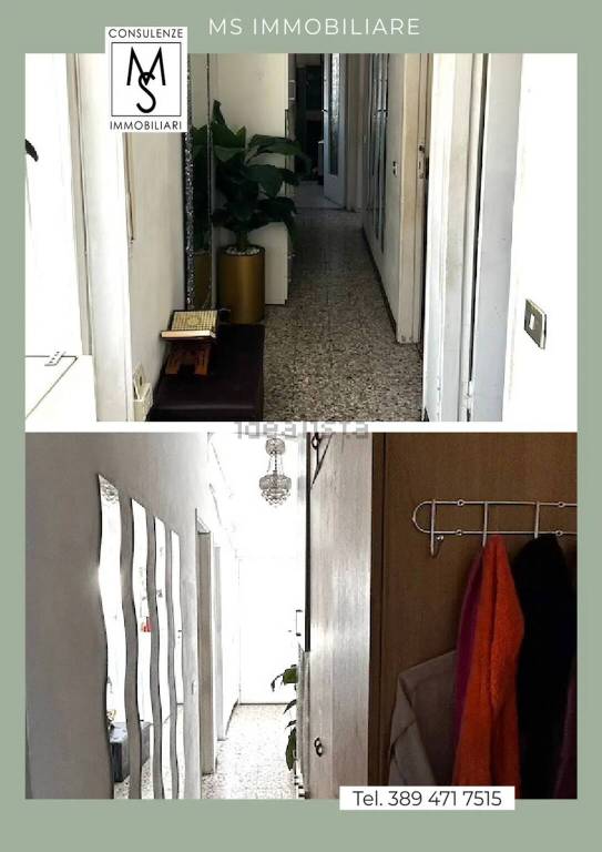 immagine annuncio 1 di 12