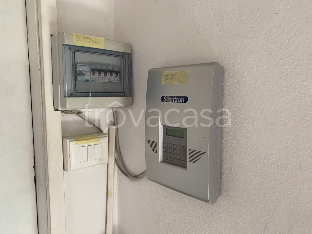 immagine annuncio 6 di 8