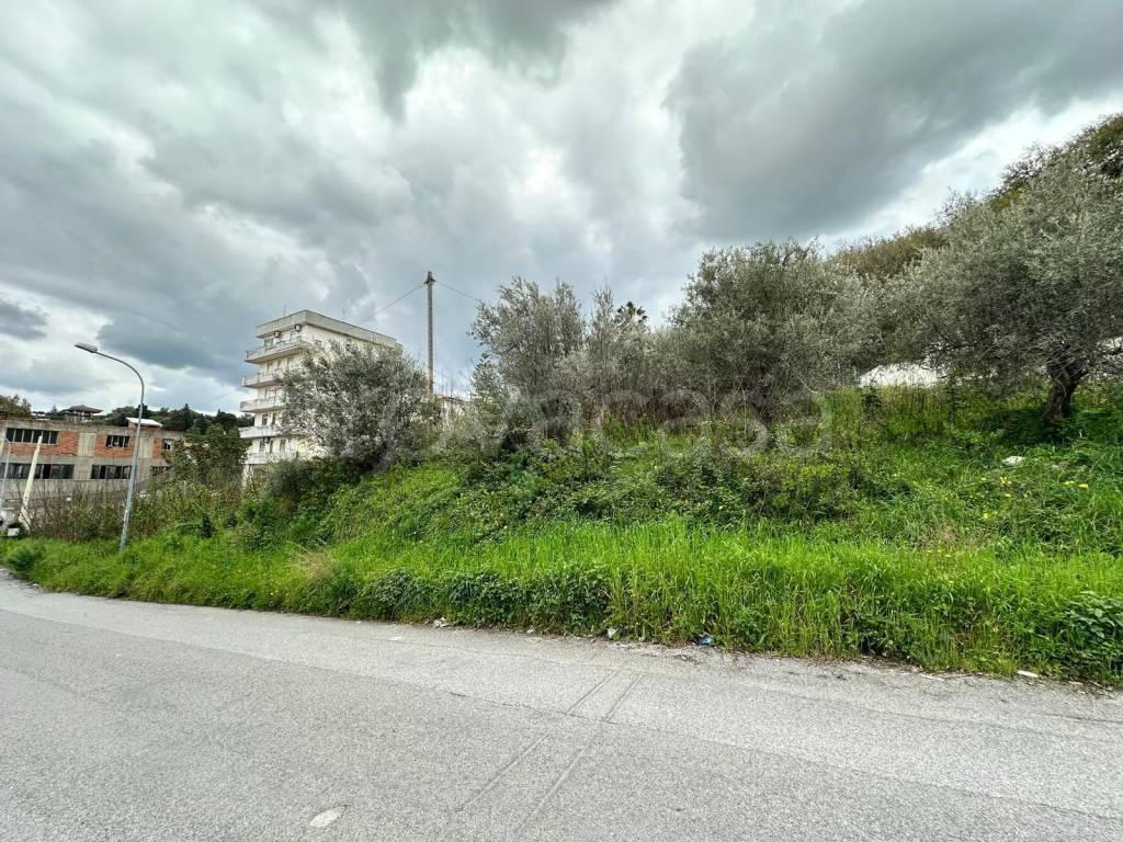 immagine annuncio 4 di 9