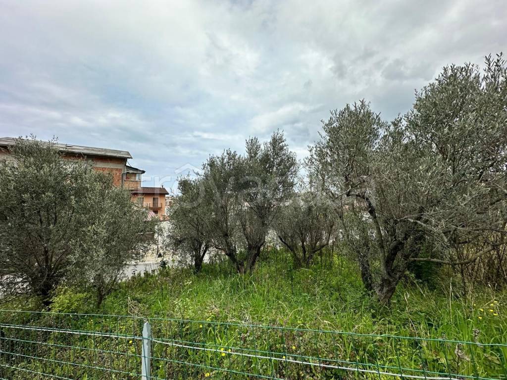 immagine annuncio 6 di 9
